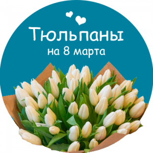 Купить тюльпаны в Краснодаре